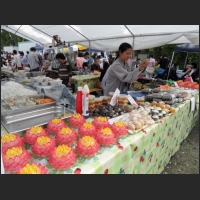 SDC12560.JPG