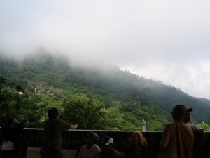 tacu_43