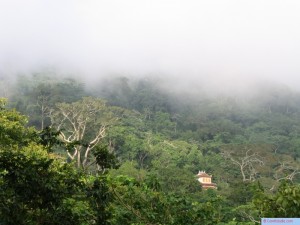 tacu_45 tacu_45